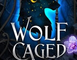 wolf caged felicity heaton