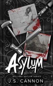 asylum, js cannon