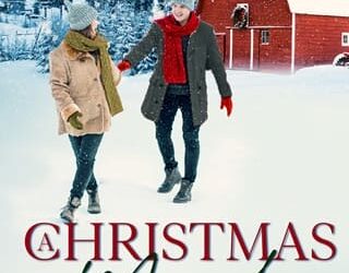 christmas miracle ann smith