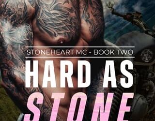 hard as stone megan wade