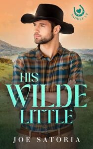 his wilde little, joe satoria