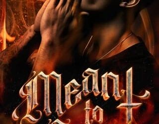 meant to burn shae ruby