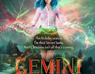 gemini christmas laura navarre
