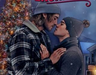 holiday exchange christina lee